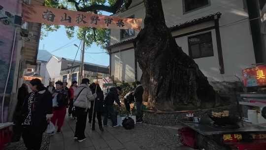 南山秋野市集：游客与农民商贩的活动