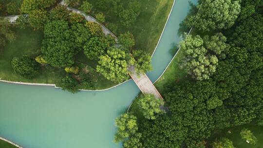 上海城市公园湖水绿地航拍4K视频素材模板下载