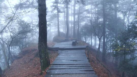 安徽九华山东崖界雾景视频素材