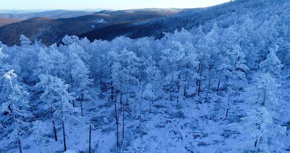 内蒙古大兴安岭冰雪雾凇 童话世界