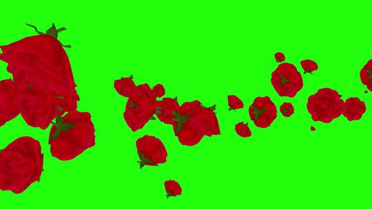 绿幕特效玫瑰花背景素材视频素材模板下载