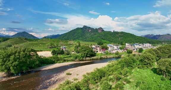 福建武夷山国家公园岩茶核心产区0352