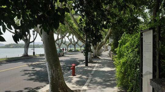 杭州西湖边的树木街道