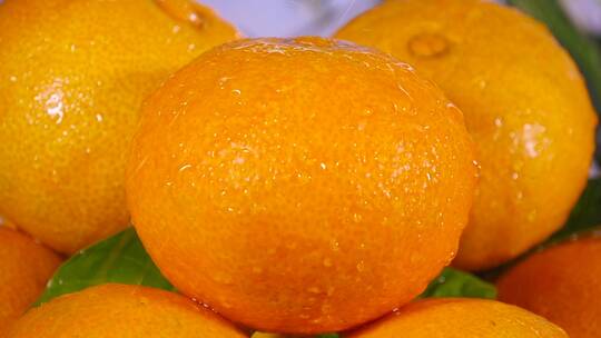 新鲜橙子素材