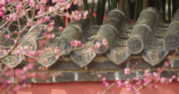 春天盛开梅花樱花悬挂风铃