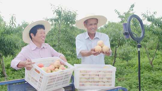 水蜜桃素材视频素材模板下载