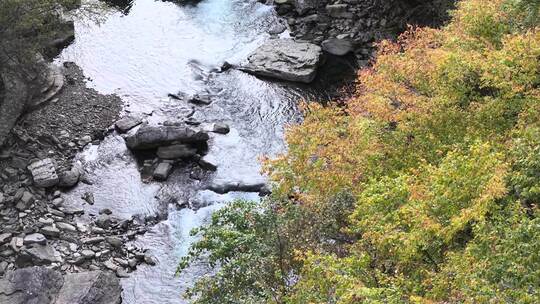 4K航拍重庆黎坪森林公园风景区