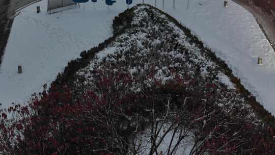 航拍雪景 冬至节气 冬天雪景  冬季