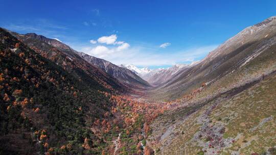 川西康定秋天的山谷航拍