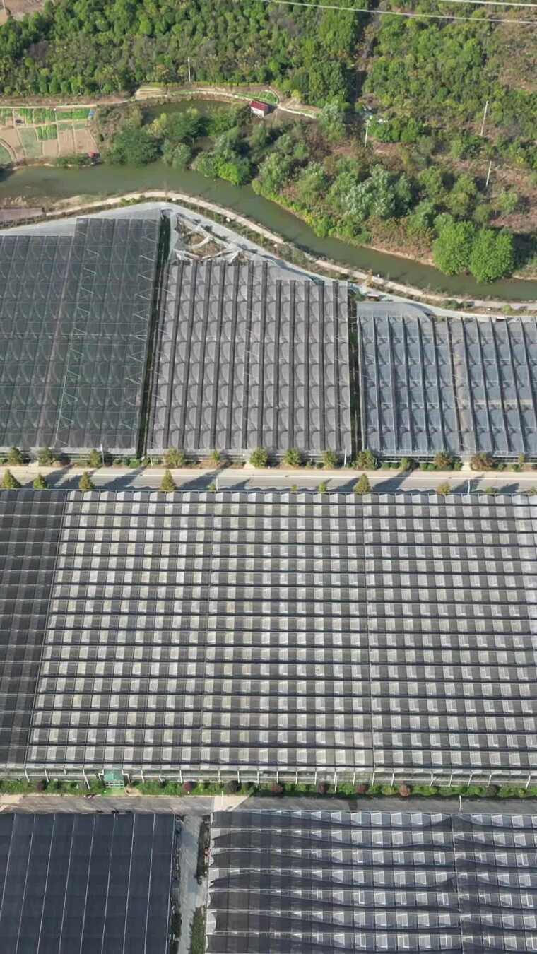 竖版航拍农业大棚种植基地航拍