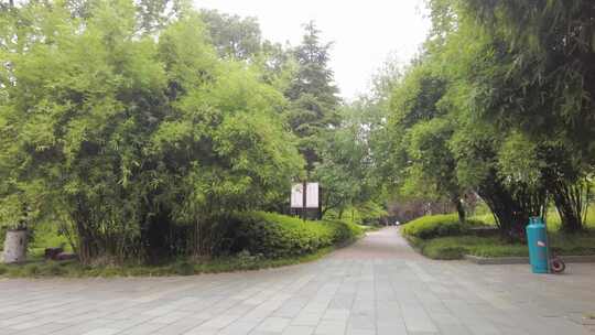 城市公园树林小道运镜空镜头