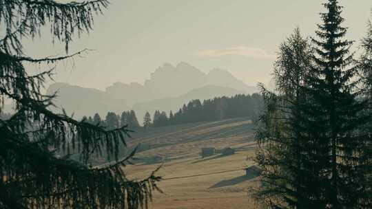 Alpe Di Siusi，白云石，山，