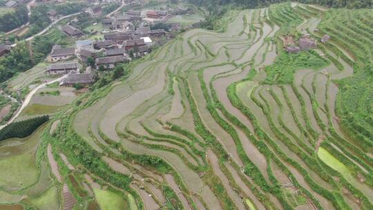 航拍乡村田野大山梯田风光