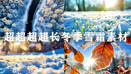 立冬冬至大寒小寒寒露唯美雪景高清在线视频素材下载