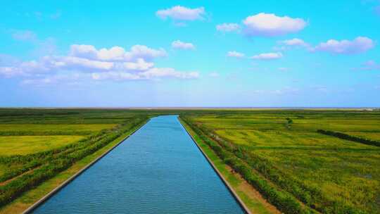 上海滴水湖南汇嘴观海公园草地全景航拍