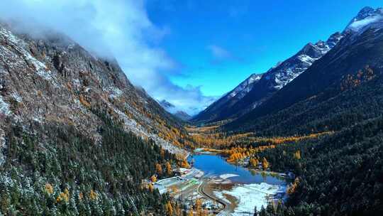 雪山下多彩树林与湖泊相映的美景