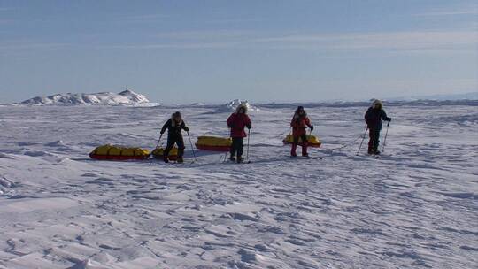 一支北极探险队视频素材模板下载