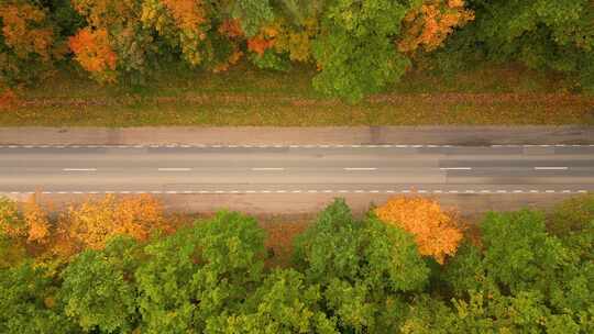 秋天森林道路上方的鸟瞰图，汽车在里面。直道上的俯视图，汽车在里面