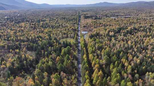 航拍视角伊春秋天公路