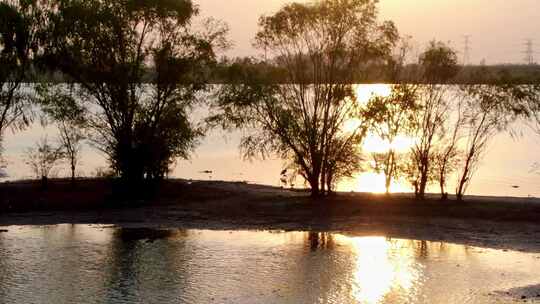 航拍夕阳湖中岛屿鸟类觅食树木