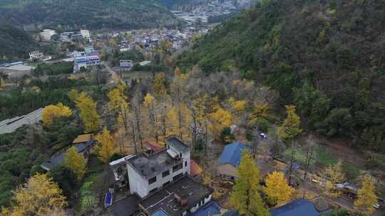 中国广西壮族自治区桂林市灵川县海洋乡银杏