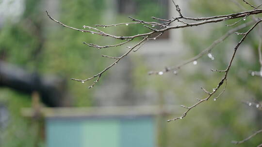 江南雨季下雨情绪意境空境素材