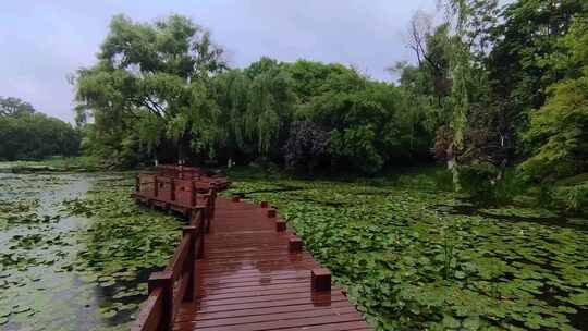 江南烟雨雨中的九曲连桥和潺潺溪水