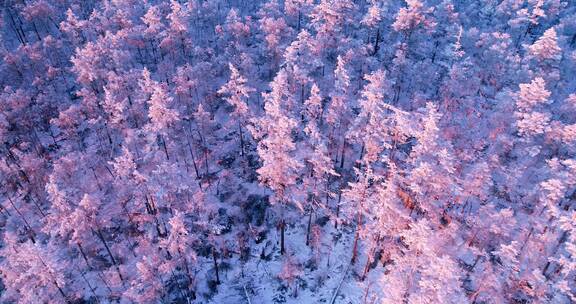 内蒙古大兴安岭冰雪雾凇 童话世界