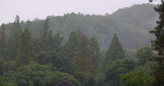 夏季雨中中式园林庭院屋檐雨滴