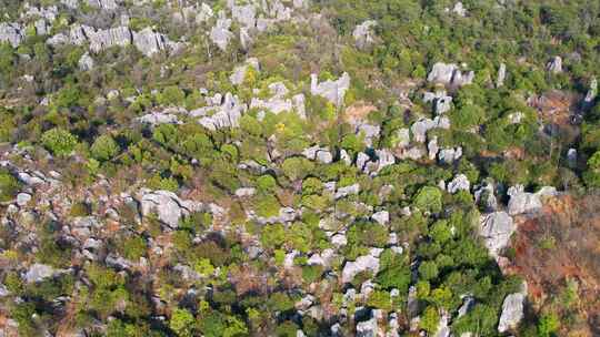 4K云南昆明石林喀斯特地貌5A景区航拍