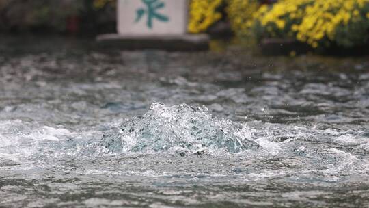 济南天下第一泉景区，趵突泉三股泉水喷涌