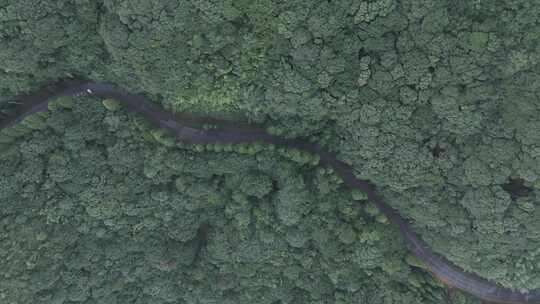 信宜大田顶日出航拍，高山云海，高山公路