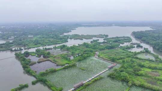 （单镜头）德清下渚湖湿地公园