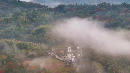 黄山塔川秋色晨雾