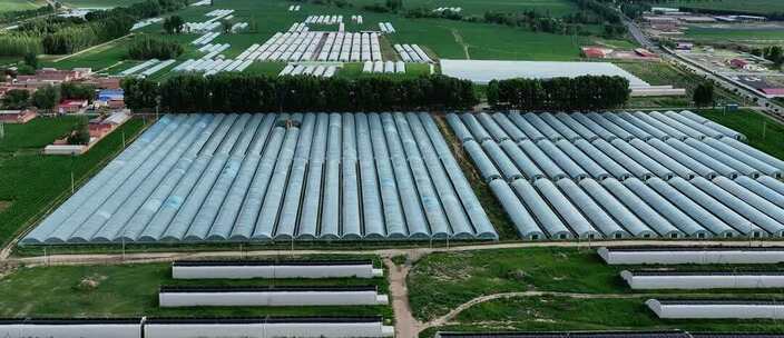 航拍新农村大棚连片种植区 设施农业