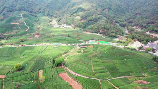 杭州龙坞西湖龙井茶园风景航拍