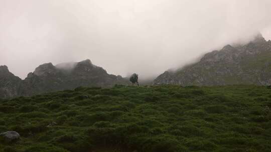 在山区徒步旅行的人