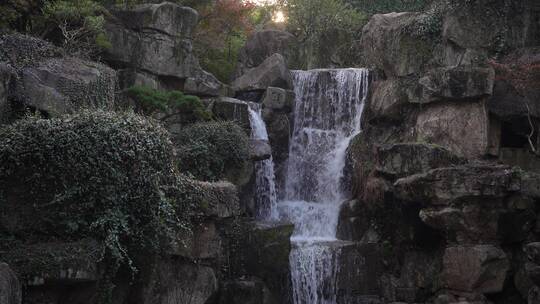 杭州西湖景区杭州花圃