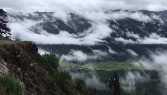 西藏林芝色季拉山口鲁朗林海