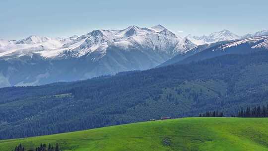 航拍新疆雪山森林草原治愈系风景