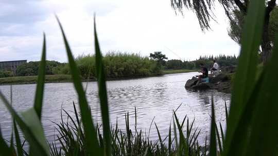 生态河道 河道保护 生态河道治理