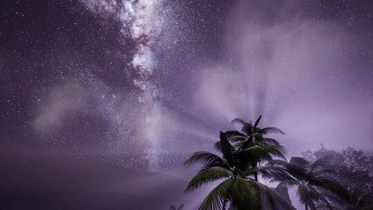 热带雨林上空的银河系视频素材模板下载