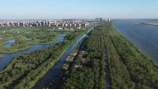 天津市静海区团泊镇生态乡村风光