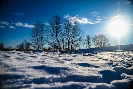 一起的庆祝 庆祝 一起 欢乐 快乐 电