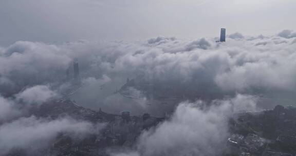 上海疫情平流雾