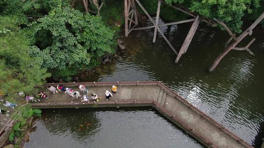 浙江桐庐大奇山航拍