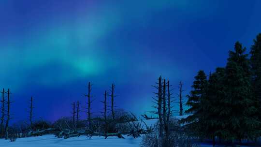 冬季雪山松林北极光