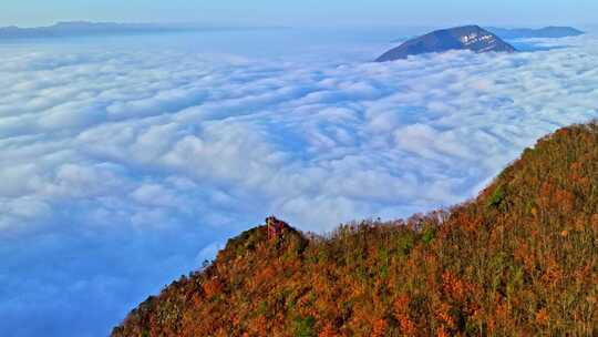 大气航拍巫峡云海红叶