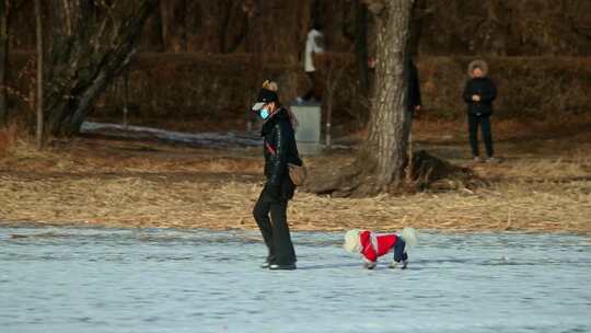 冬天女人带领可爱小狗结冰湖面雪地行走开心