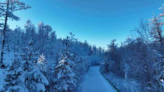 林海雪原雪林和山路